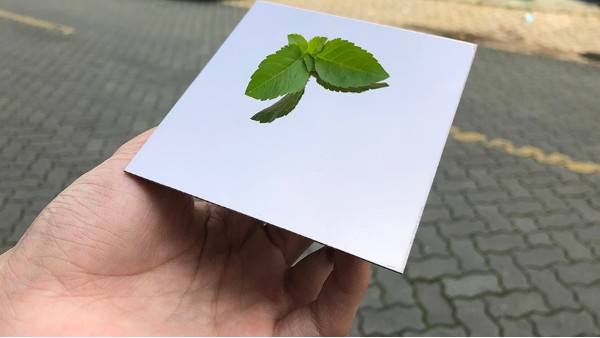 為什么彩色不銹鋼裝飾板會(huì)大受歡迎？